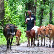 BHAWAL NATIONAL PARK 27